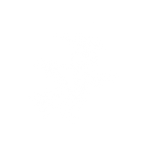A-4