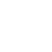 B-2