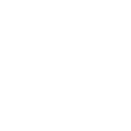 C-2